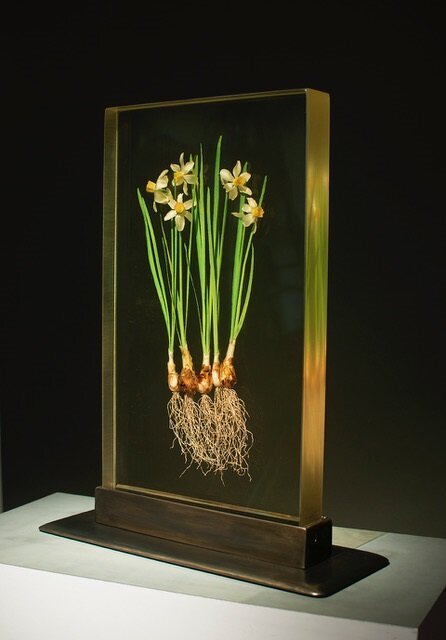 Imitating Nature is a Rigorous Practice: An Interview with Curator